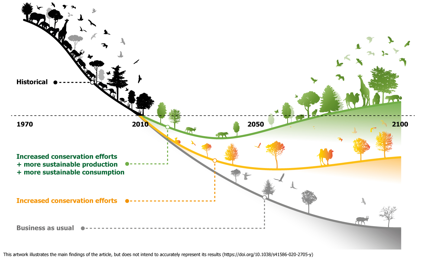 Bending the curve of terrestrial biodiversity needs an integrated strategy