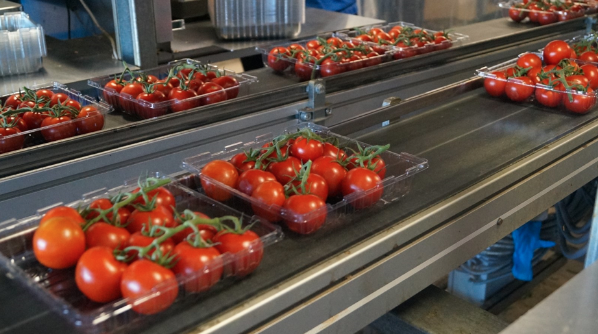 Duijndam machines tomaten ad