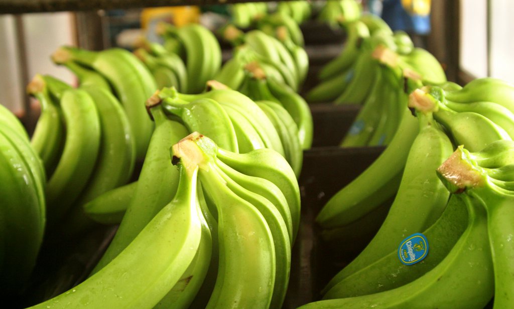 Lidl gaat over op ‘groene’ bananen