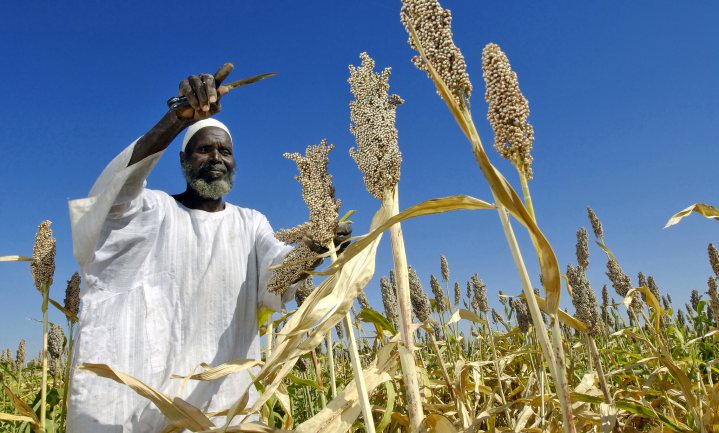 Afrika weert zich tegen klimaatextremen met Crispr-Cas