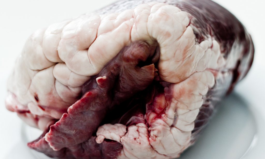 Waarom we vermoedelijk kanker krijgen van rood vlees: Neu5Gc