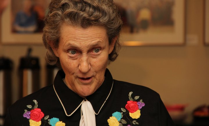 Luister naar het dier en leer van Temple Grandin
