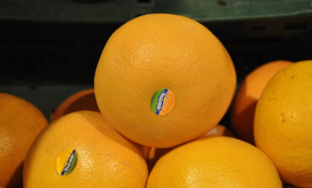 Rusland stuurt in Nederland omgekatte grapefruits terug