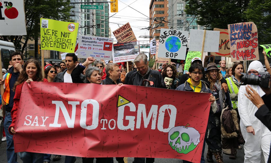 Industrie lobbyt geruisloos voor nieuwe generatie GMO’s