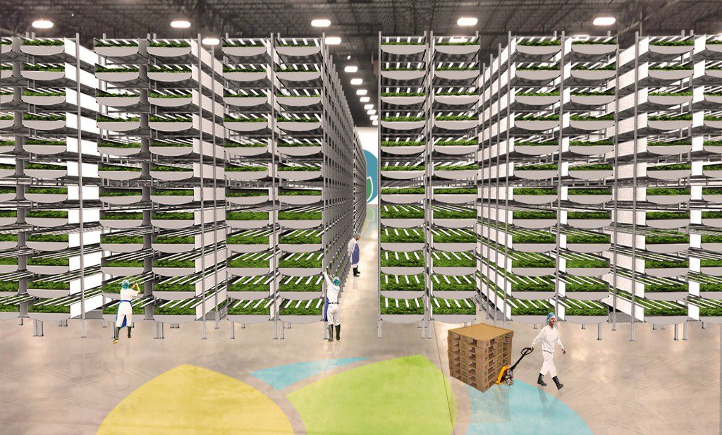 ‘s Werelds grootste verticale ‘aeroponic farm’ mikt op New York