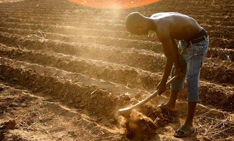 Geopolitiek voedselbeleid: is voedselzekerheid haalbaar voor Afrika?