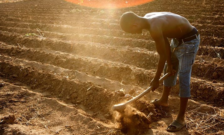 Geopolitiek voedselbeleid: is voedselzekerheid haalbaar voor Afrika?