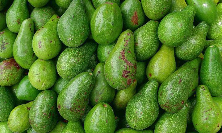 Nederland na VS grootste importeur avocado’s