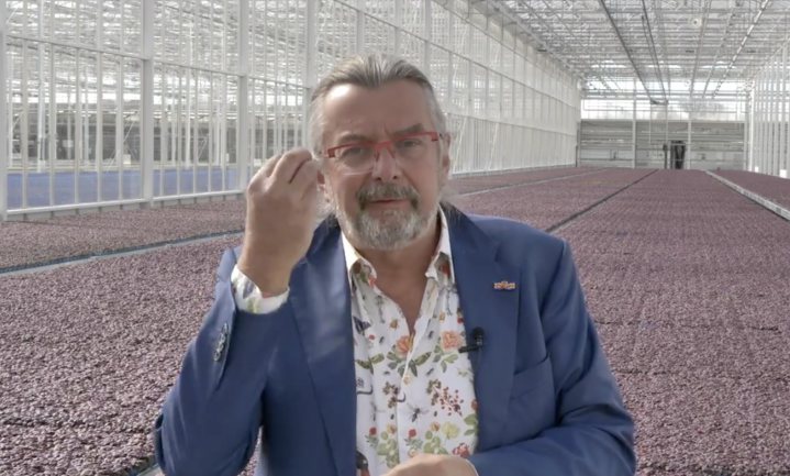Koks van Nederland, help Baan en de tuinbouw van corona-verspilling af