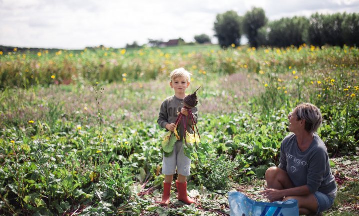 Laat je kind groente oogsten bij de boer
