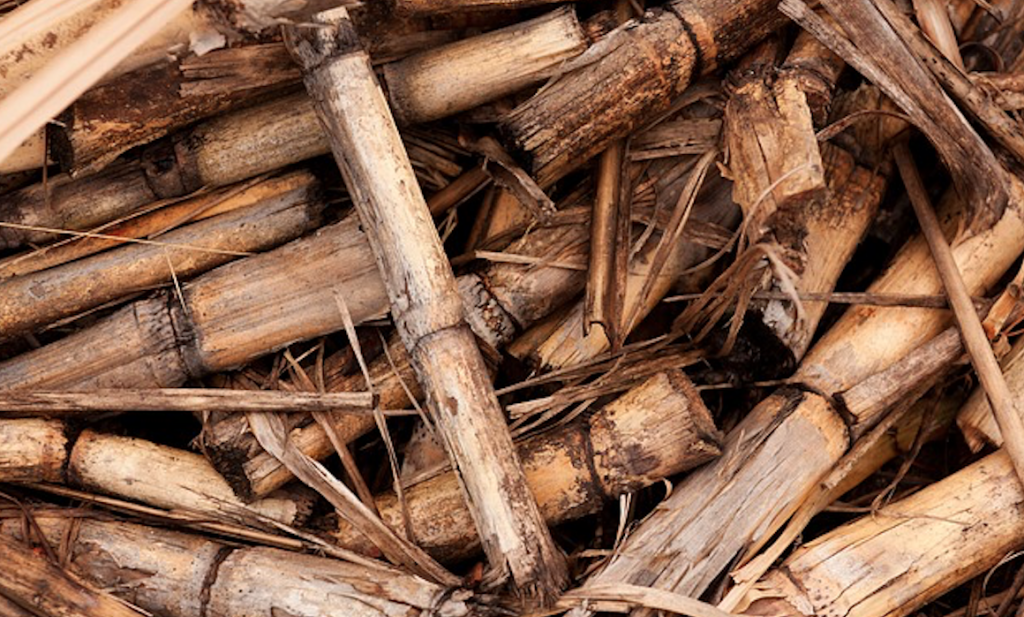 Grote pelletmaker faillieert ondanks vraag naar hout en subsidies voor ‘duurzame’ energie