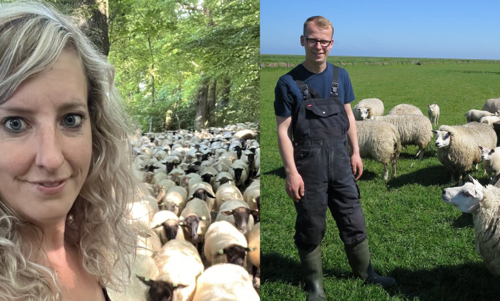 Boer Jens Barhorst en boerin Janine Lardinois: ‘schapengeld is gauw geteld’