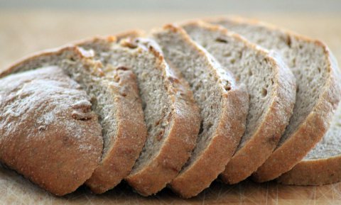 Brood beschimmelt van ongewassen handen