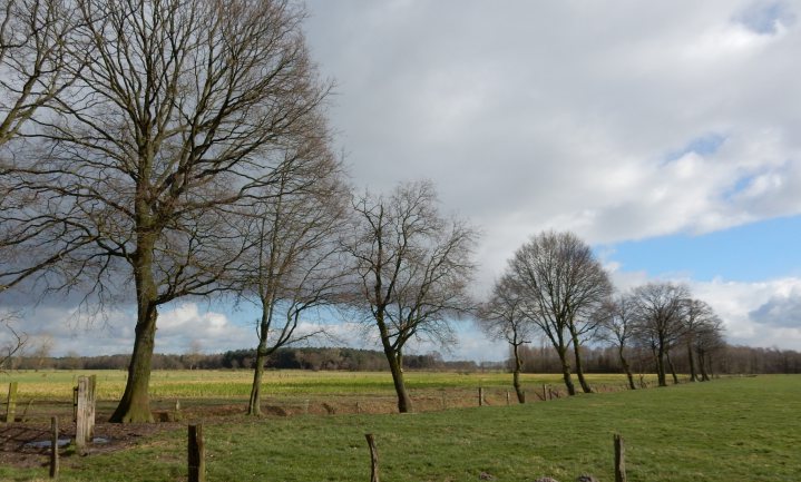 Boerenrustpunt in Belgische Kempen