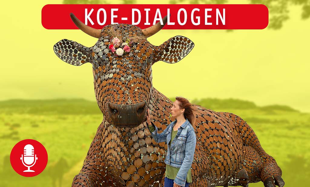 Koe-Dialogen: wat is de toekomst van de koe in Nederland?