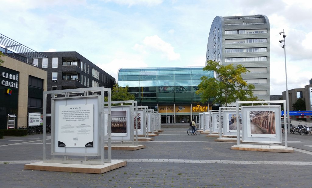 Foto-expo Het Vergeten Dier in Breda