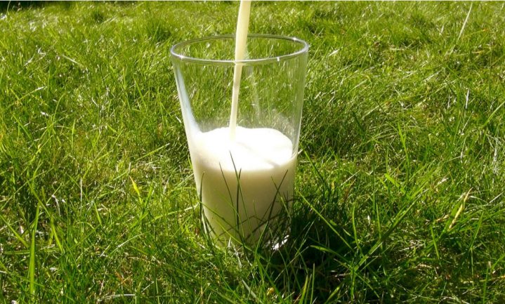 Biologisch vlees en biologische melk voedzamer