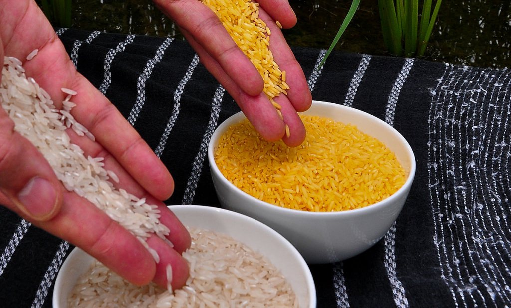 AJCN trekt onethisch ‘Golden Rice’ artikel terug