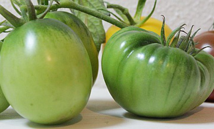 Groene tomaten - I