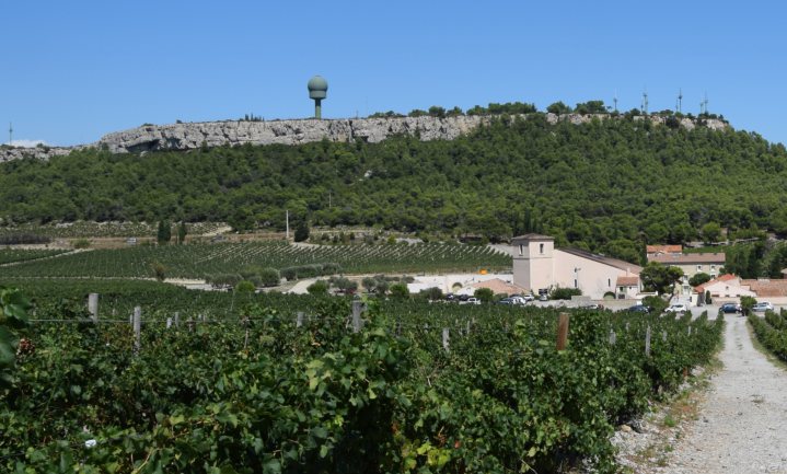Gezuiverd rioolwater voor Zuid-Franse wijn helpt besparen op mestkosten