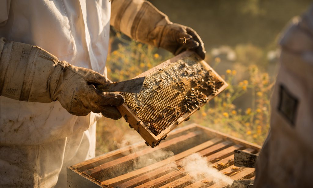 Honing komt voortaan niet meer ‘van planeet aarde’