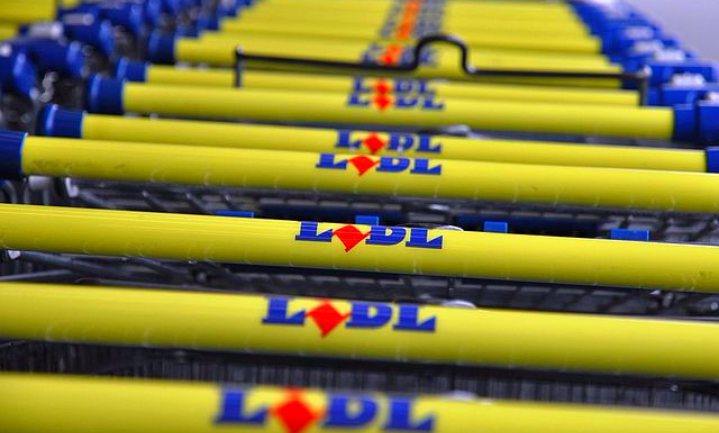 Lidl steekt half miljard in 50 nieuwe filialen België
