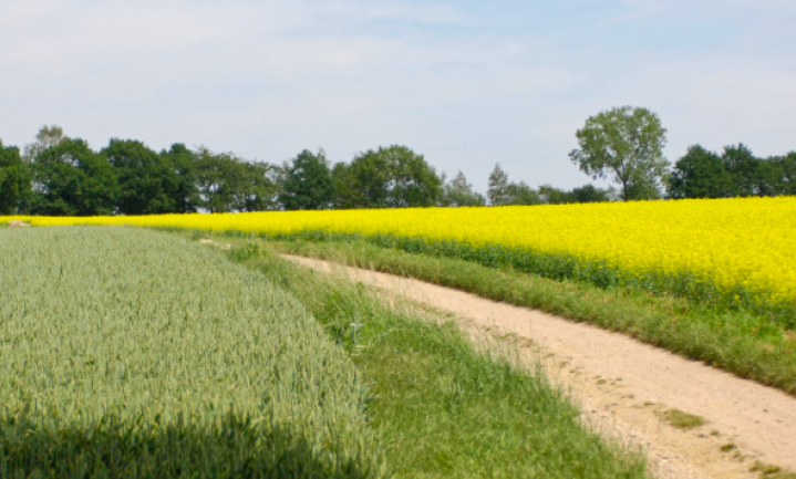 Dijksma brengt Limburgse landbouw in bestaansnood