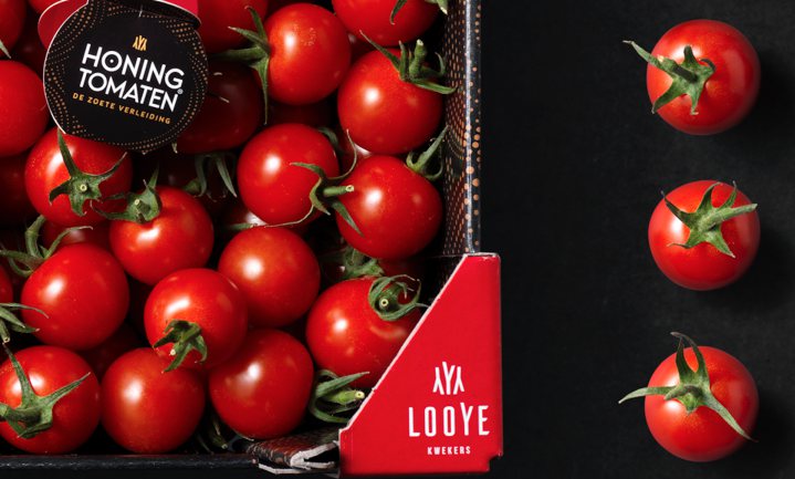 Tomatentelers fuseren en kiezen voor het sterkste merk: Looye Kwekers
