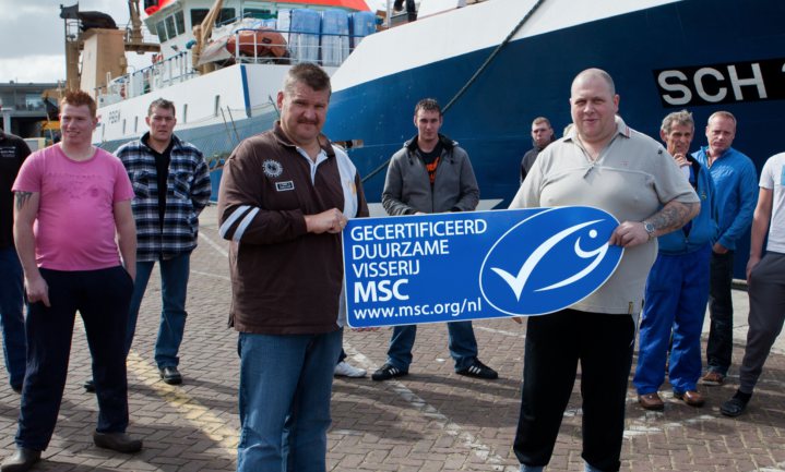 15 jaar MSC - geld telt niet en makreel dit jaar zonder logo