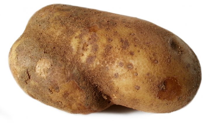 ‘s Werelds grootste niet-aardappel