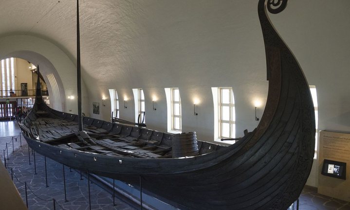 Vikingen namen huisdieren mee in de boot