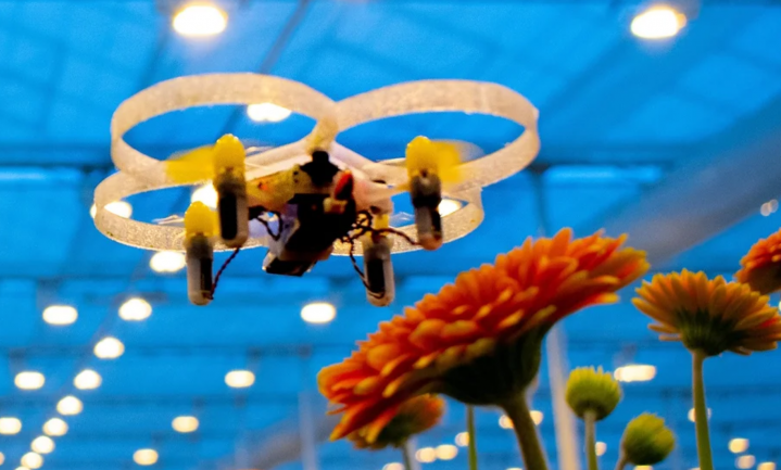 Minidrones smoren een insectenplaag in de kiem