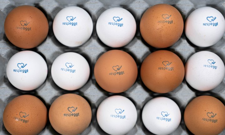 Duitse super verkoopt eieren van ‘haantjesvrije’ legkippen