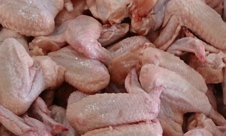 Britten houden kip met campylobacter