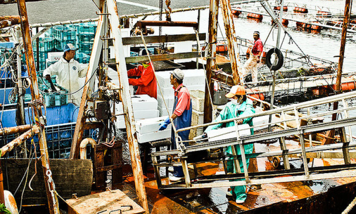 WNF: herziening visserijbeleid nodig