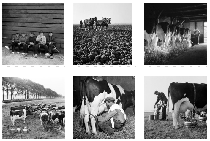 Fotomuseum zoekt kennis van het boerenleven