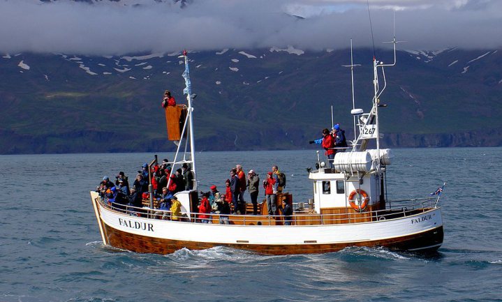 Walvisvaarders alweer op zee na opheffen ban