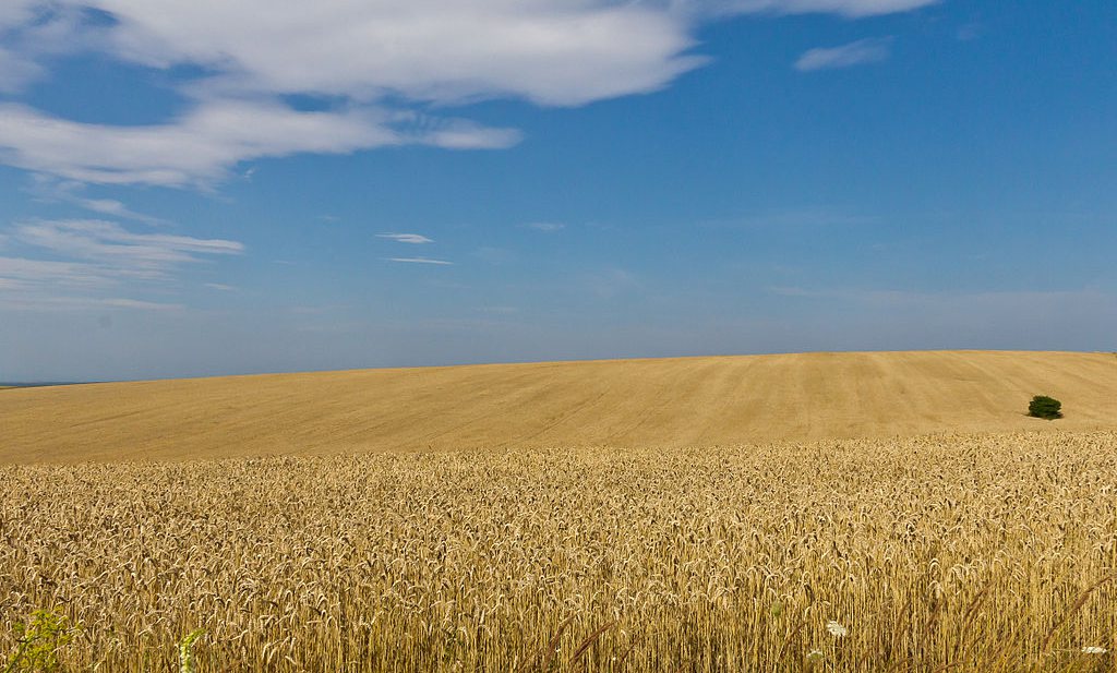 Oorlog maakt chemische dump van graanschuur Oekraïne
