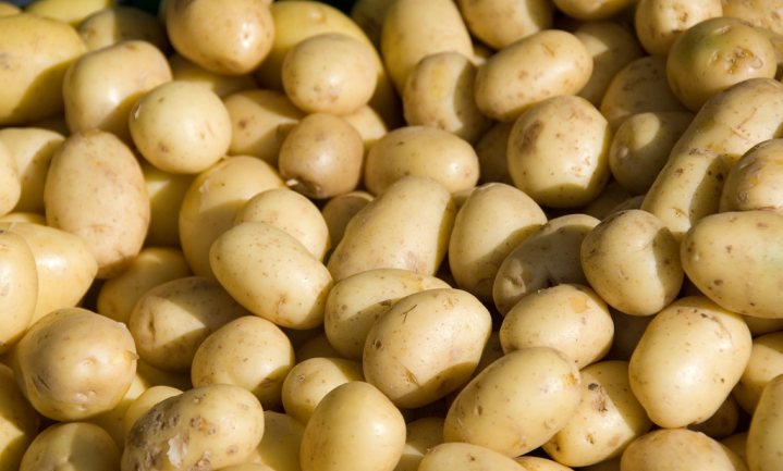 Duitsers eten meer aardappelen; Canadese vervoerders vrezen lege versschappen door truckerstekort