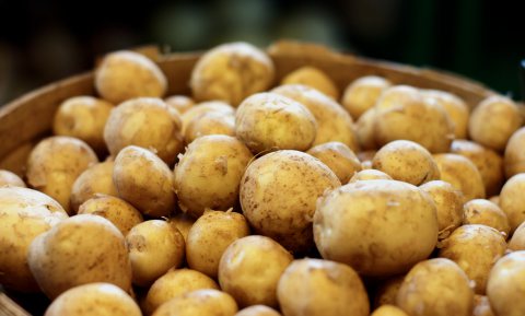 Culinair ontdekt: patatjes