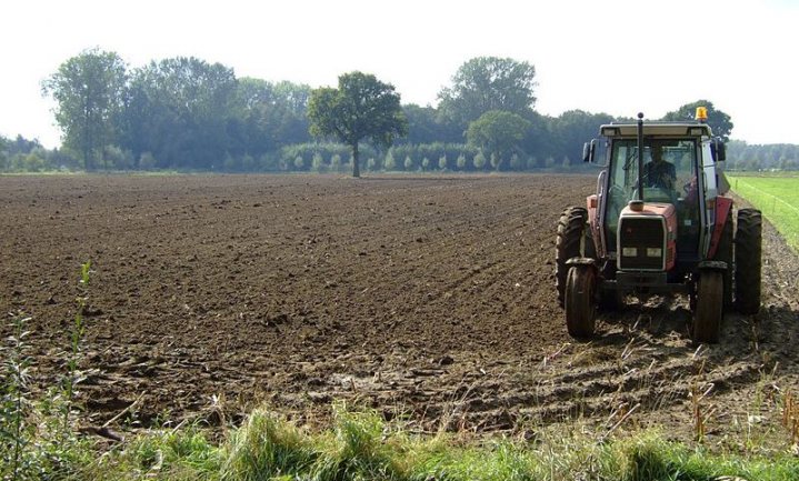 Akkerbouw beslaat 28% Nederlands landbouwareaal