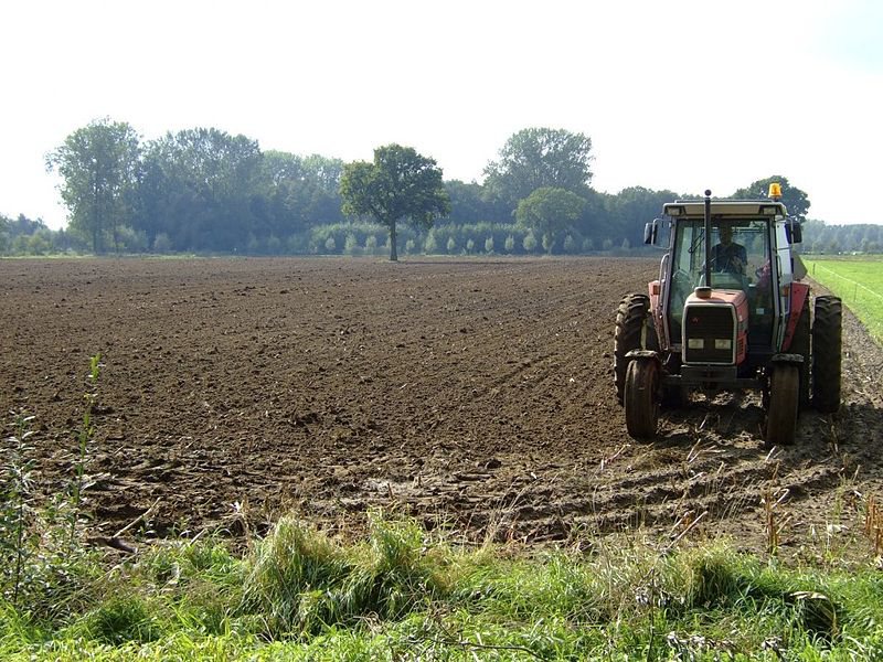 Vergroeningssubsidies EU voor boer blijken wassen steunneus