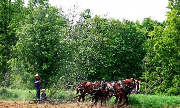 Amish boeren ramp voor milieu
