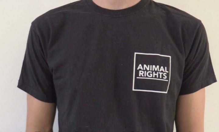 Animal Rights filmt schoppen, slaan en gillende biggen bij twee zeugenhouders