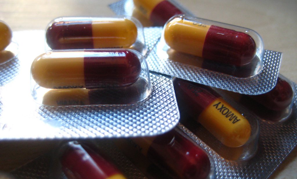 ‘Combinatie bestrijdingsmiddelen en antibiotica versterkt ontstaan resistentie’
