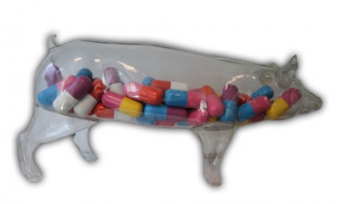 Investeerders: fastfood moet antibioticagebruik veehouderij aanpakken