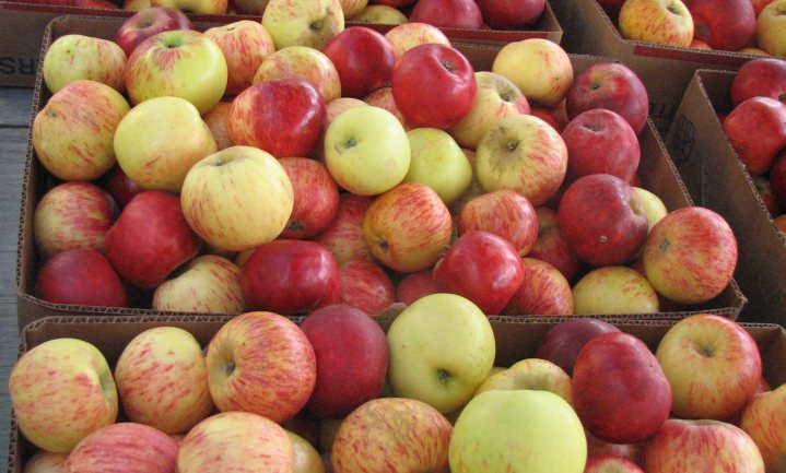 Productie appelmoes Voedselbanken mocht niet in natura betaald worden