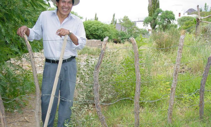 Biologische teelt goedkoper voor kleine Argentijnse boer