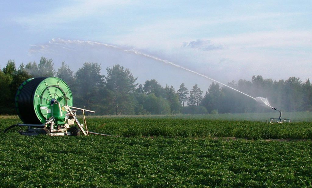 Ministerie van LNV stemt in met maatregelen om effect droogte op boerenbedrijven te beperken