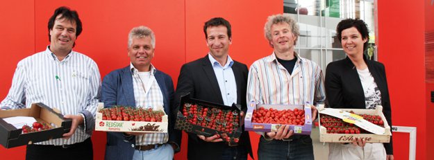 Honingtomaat dubbele winnaar Beste tomaat van NL
